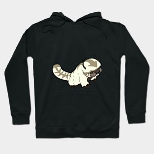 Avatar the Last Airbender appa Hoodie